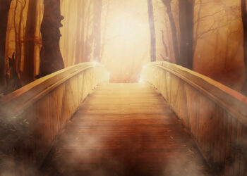 The spectacle before us was indeed sublime