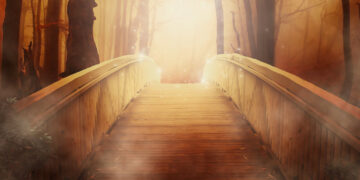 The spectacle before us was indeed sublime